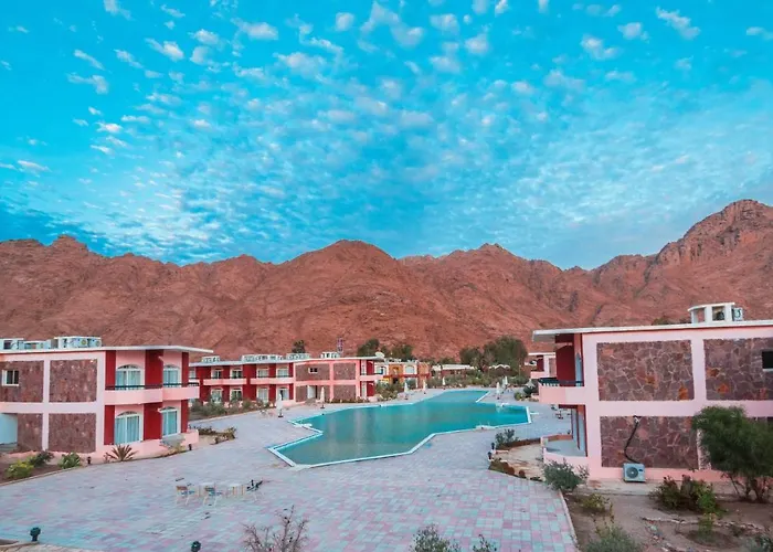 Morgenland Holly Village Saint Catherine