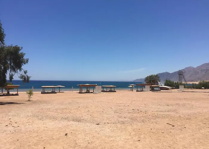 Pet friendly Deluxe Seahorse Apartment - Lagoon Villa Dahab