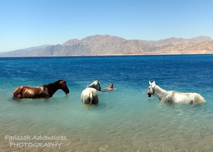 Blue Beach Club Dahab