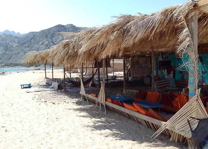 Pet friendly Husha Shanti Camp Dahab