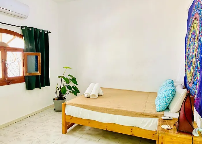 Pet friendly Eel Garden House Villa Dahab