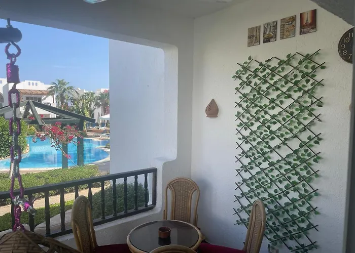 Pet friendly Delta Sharm Resort Pool Views