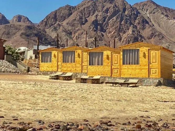 New Bella Sina Camp Hotel Nuweiba