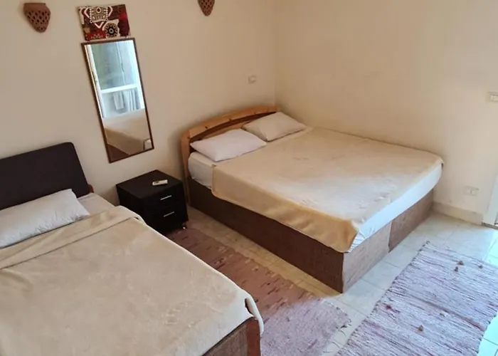 Pet friendly P House Apartment Dahab