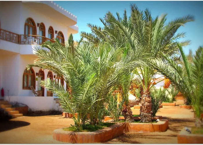 Shams Hotel & Dive Centre Dahab